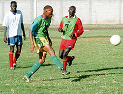 harambee-training.jpg (40421 bytes)