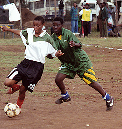 kahawa-minicus.jpg (57943 bytes)